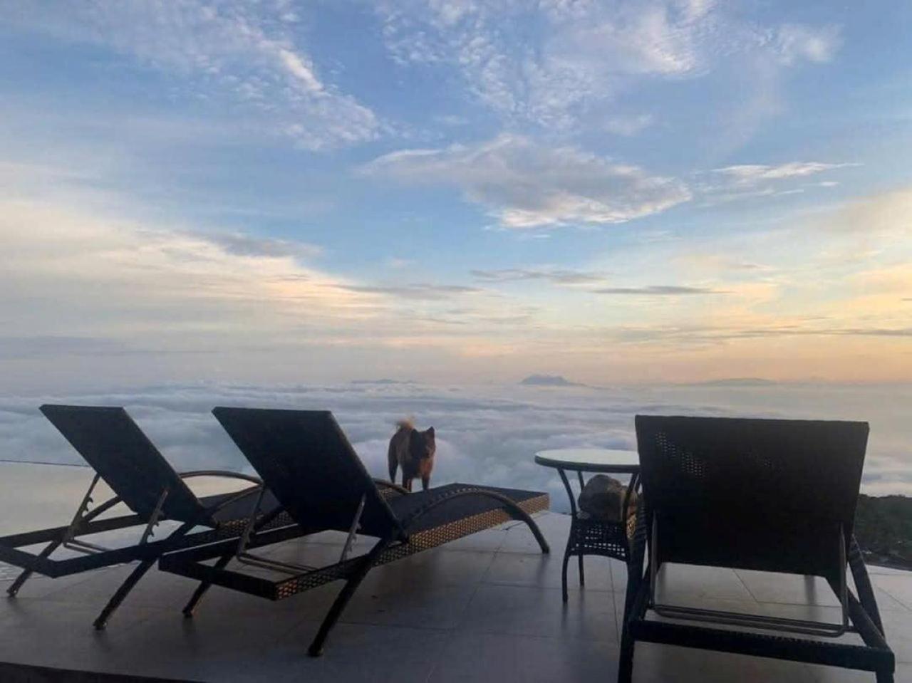 Chuon Chuon Villa Homestay Tam Ðảo Esterno foto